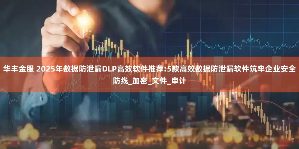 华丰金服 2025年数据防泄漏DLP高效软件推荐:5款高效数据防泄漏软件筑牢企业安全防线_加密_文件_审计