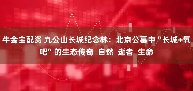 牛金宝配资 九公山长城纪念林：北京公墓中“长城+氧吧”的生态传奇_自然_逝者_生命