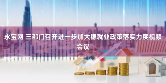 永宝网 三部门召开进一步加大稳就业政策落实力度视频会议
