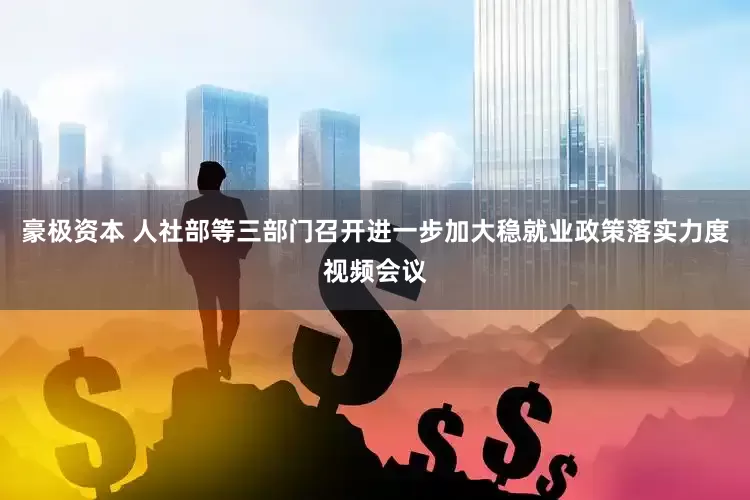 豪极资本 人社部等三部门召开进一步加大稳就业政策落实力度视频会议