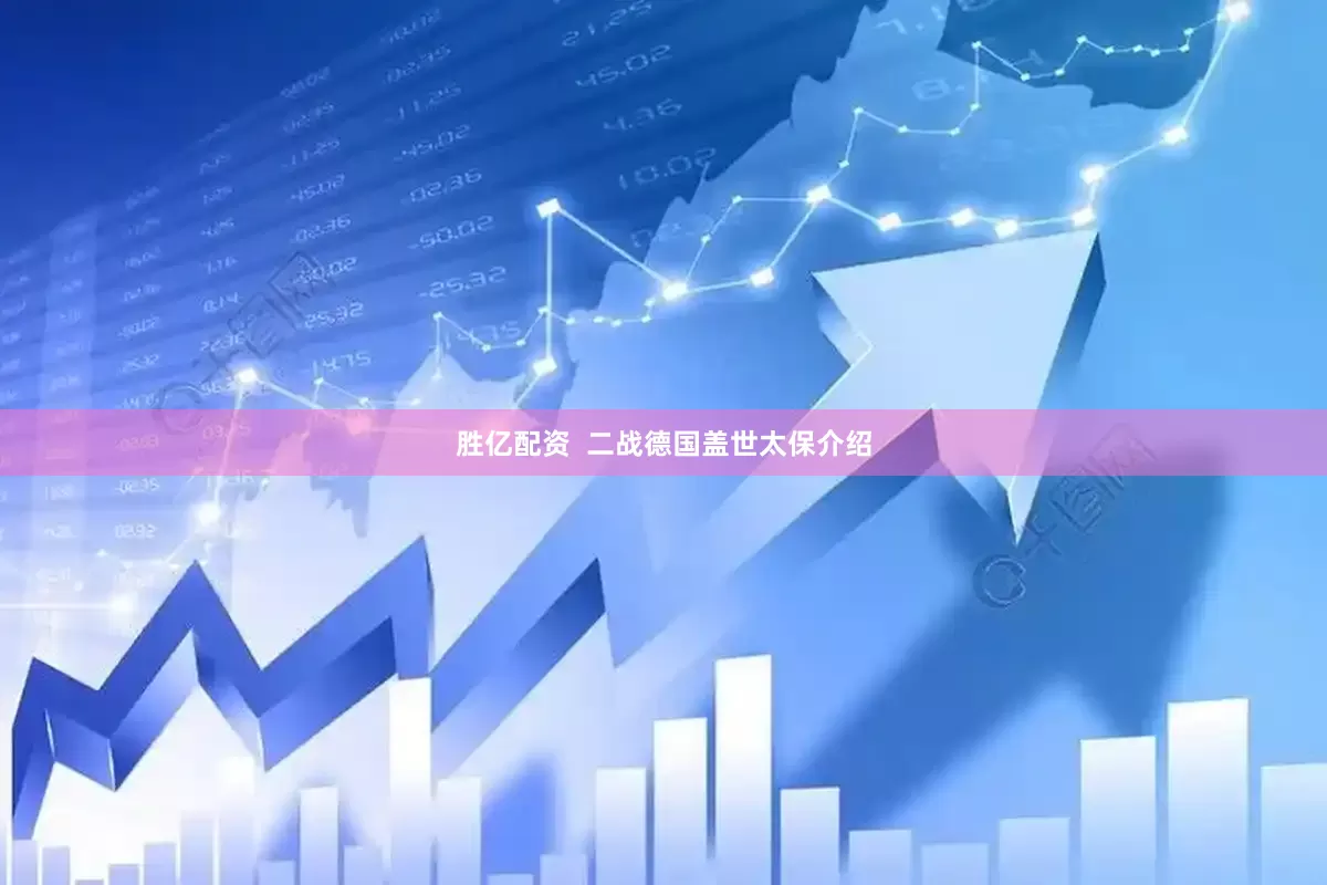 胜亿配资  二战德国盖世太保介绍